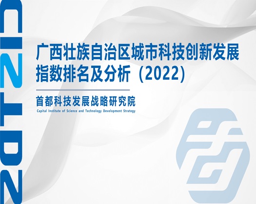 啊啊男的在床上被jj艹出水了的视频【成果发布】广西壮族自治区城市科技创新发展指数排名及分析（2022）